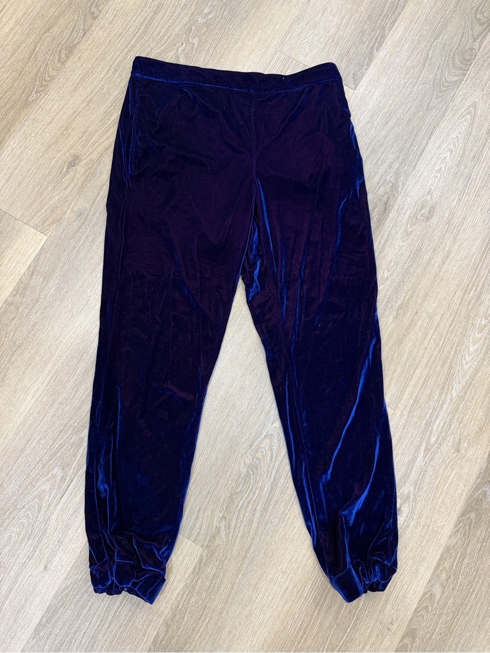 Free People Velvet Jogger Pants in Deep Navy
